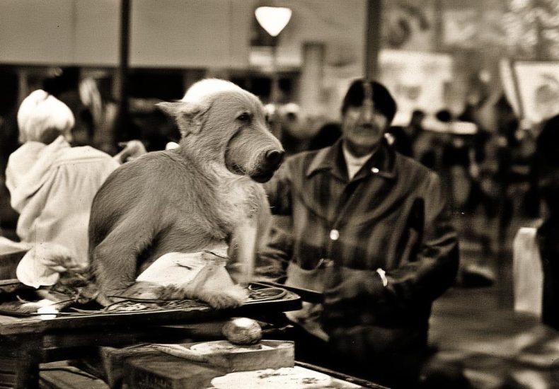 快手怎么刷粉丝缩略图