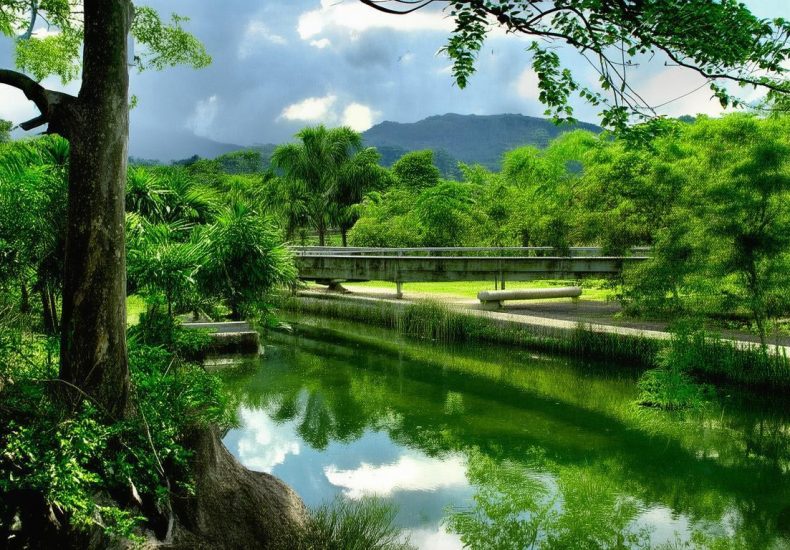 快手上什么人是粉丝最多缩略图