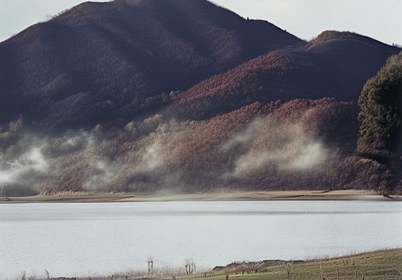视频号展示在个人名片和不展示的区别缩略图